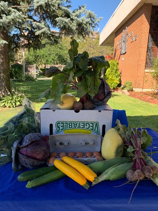 Volunteers in brooklyn