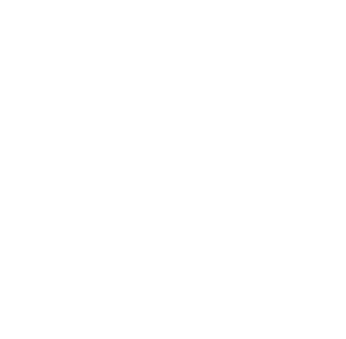 White icon of the sun
