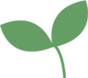 Icon of a leaf
