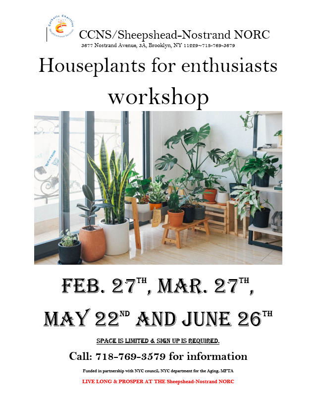 Screenshot 2025 02 19 122558