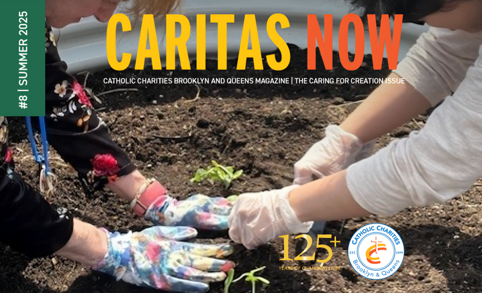 Volunteers in brooklyn