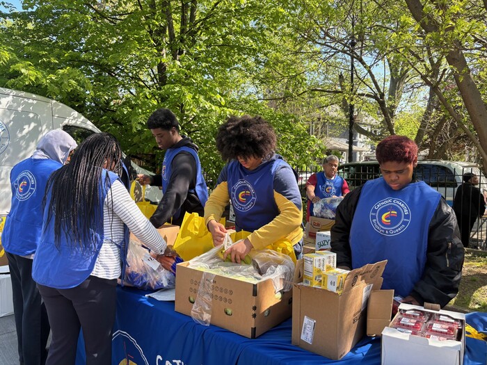 Volunteers in brooklyn